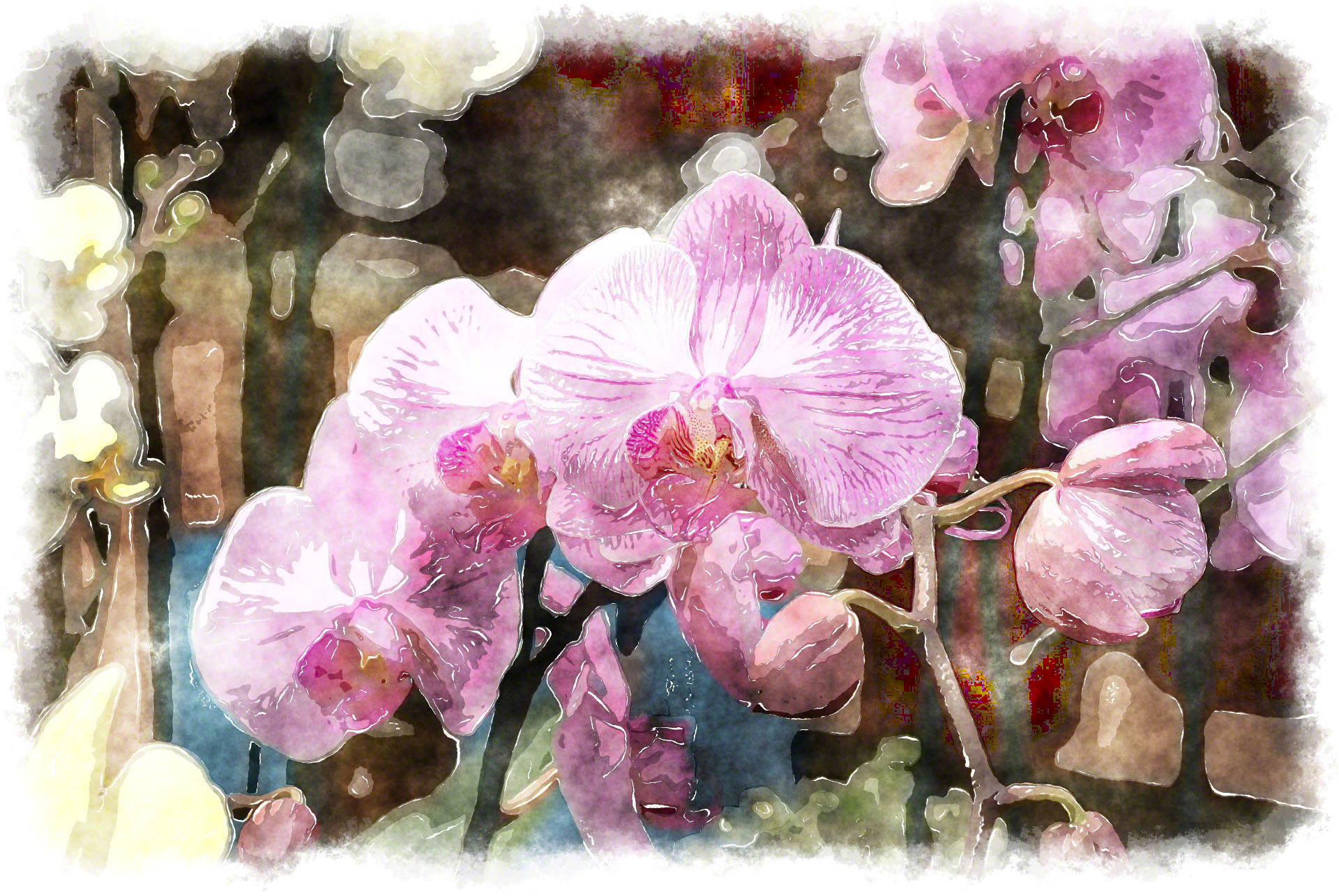 Цян Хуан художник орхидеи