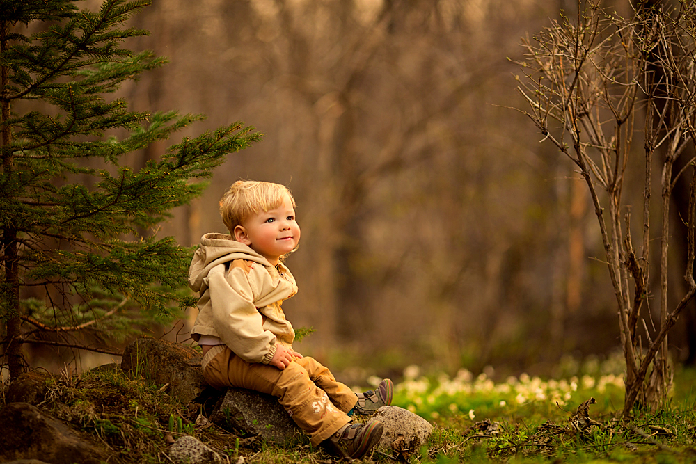 Мальчик в лесу фото