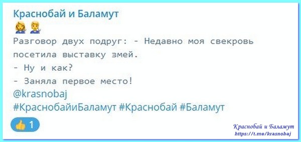 Краснобай и Баламут
https://t.me/krasnobaj 
@krasnobaj
#КраснобайиБаламут #Краснобай #Баламут
Krasnobaj i Balamut
https://vk.com/album-57971047_283680241