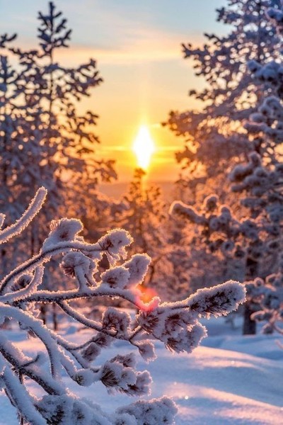 Доброе утро!
🌞🌞☕🌞🌞
Пусть зима будет сказочно-снежной,
И щедра на домашний уют,
В каждом жесте пропишется нежность,
А ветра за окном запоют.Нежность - делает сердце добрее,
Нежность - в любую погоду согреет.
И не имеет значения внешность,
Если в душе твоей теплится - нежность! Опять понедельник, опять на работу,
Трудиться пять дней, ожидая субботу.
Как братья похожи рабочие дни,
Мучительно долго проходят они.
А два выходных, как бы мы не хотели,
Моргнуть не успеешь, уже пролетели.
Какая бы людям была благодать,
Работать два дня, а пять дней отдыхать.Я желаю каждому счастья...
Того самого счастья, которое заставляет по утрам подниматься с кровати.
Того счастья, когда ты знаешь, что ты нужен в этом мире.
А помнишь, как прекрасно осень увядала?..
С каким-то ей одной понятным ритуалом
Листвой сияла золотой и ярко алой.
Ну а сегодня словно все опять - сначала,
С утра снежинки закружились карнавалом.
Еще бы знать, что Жизнь назавтра нагадала.....