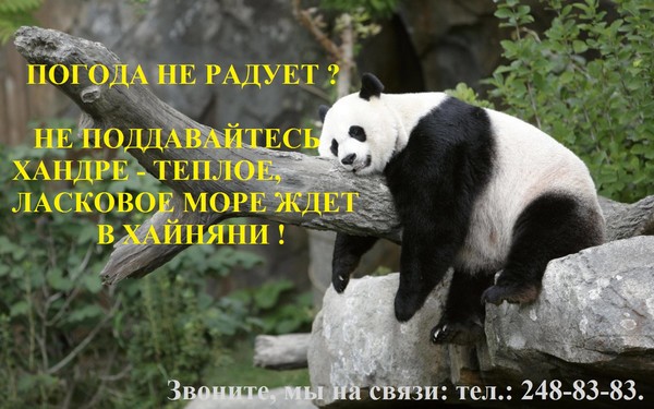 ✈ Летите на #ХАЙНАНЬ 🐼 
🌞 🌴 🌞 Планируйте свой отдых заранее 🌞 🌴 🌞 
☀☀☀/☀☀☀/☀☀☀/☀☀☀/☀☀☀/☀☀☀
-----------------------------------
✅ Вылеты в СЕНТЯБРЕ от 6 ночей – от 531 уе
✅ Вылеты в ОКТЯБРЕ от 6 ночей – от 537 уе
🎁 🎁 🎁 Каждому туристу в подарок 🎁 🎁 🎁: 
✔ обзорная экскурсия по городу Санья
✔ диагностика в медицинском центре
---------------------------------
☎ 🐼 📱 🐼 ☎ 🐼 📱 🐼 ☎ 🐼 📱 🐼 ☎ 🐼 📱 🐼 
☎ ЗВОНИТЕ И БРОНИРУЙТЕ ПОДХОДЯЩИЕ ДЛЯ СЕБЯ #ТУРЫ ! 
ЖДЕМ ВАС ПО АДРЕСУ: г. Челябинск #Ленинский_район 
(начало, #КБС) ул. Гагарина, д.9, офис № 42. 
Тел.: (351) 248-83-83; 230-48-29; 8-951-793-60-42.