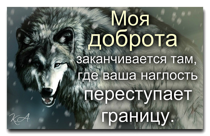 Дышали моей добротой теперь задохнитесь моим безразличием картинки