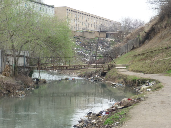 Янгиюль узбекистан фото