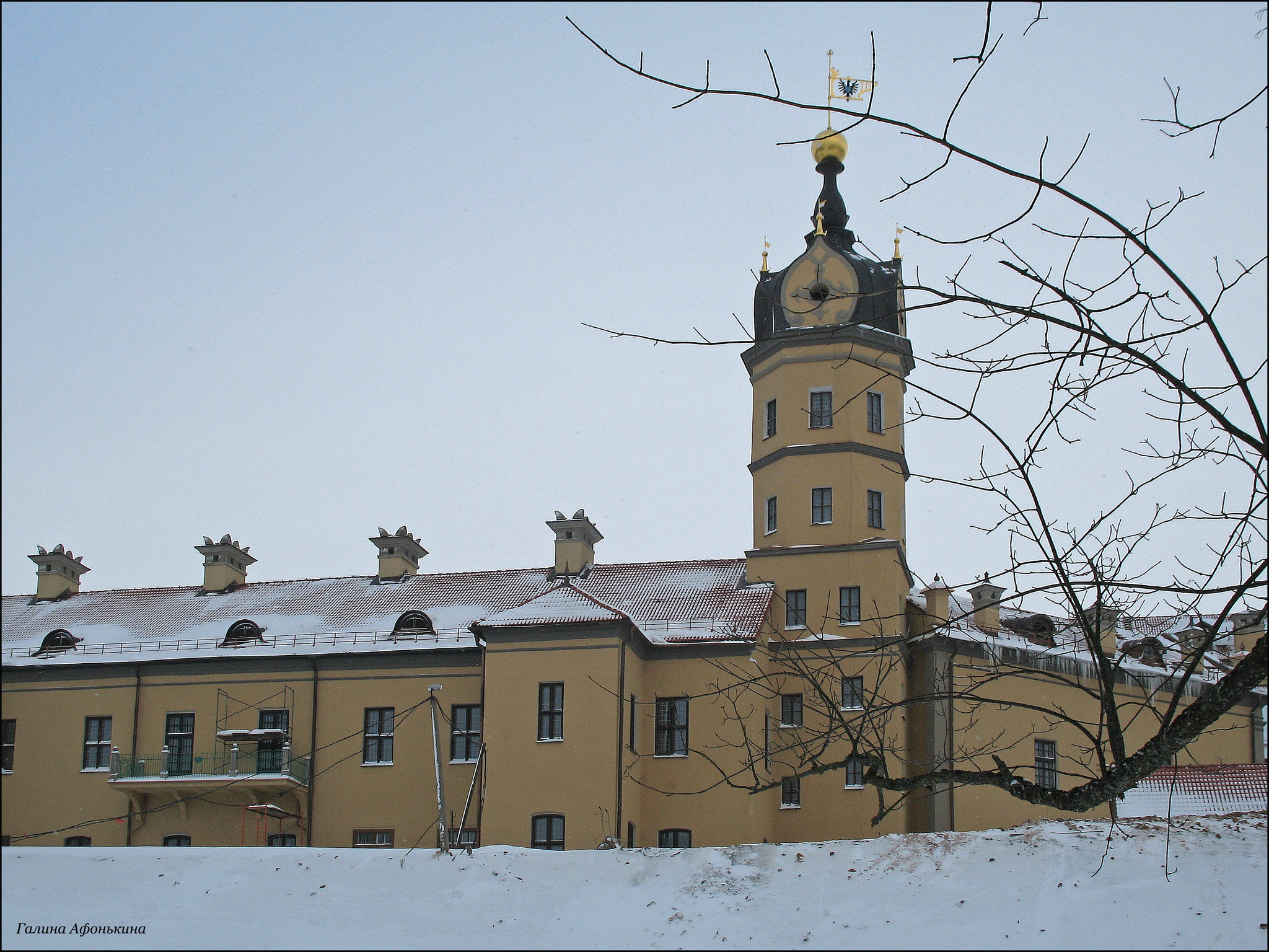 Несвижский замок